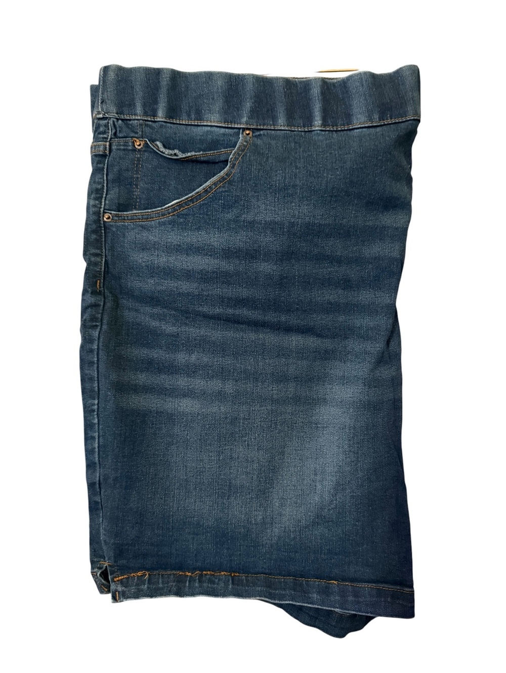 Terra & Sky Denim Shorts 4X